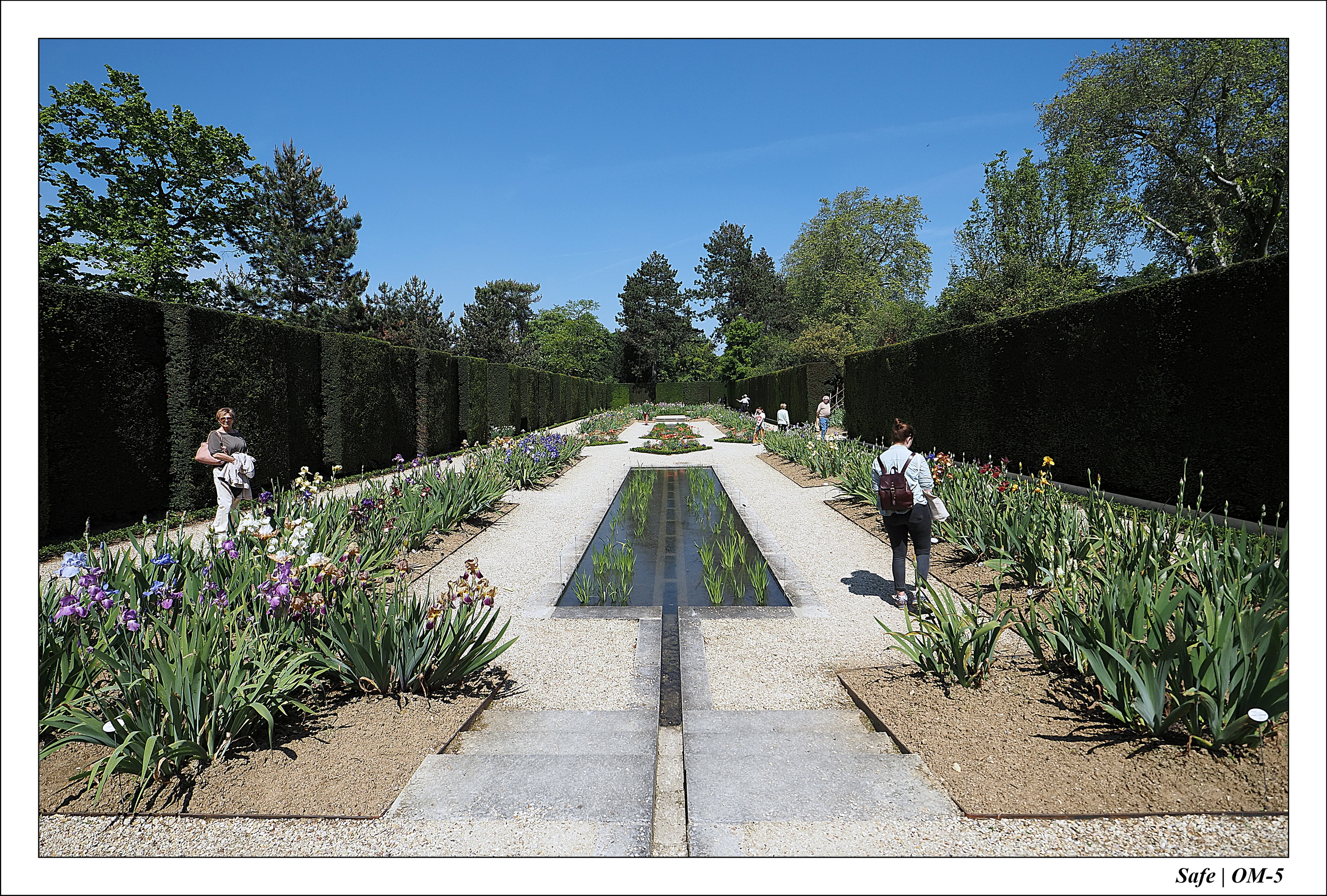 2024 - 05 - Bagatelle - 10